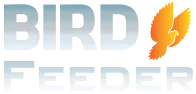 Bird-Feed